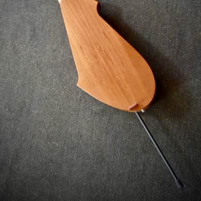 Dragonfly DF10-A (Acoustic/Electric Chapman Stick) image 23