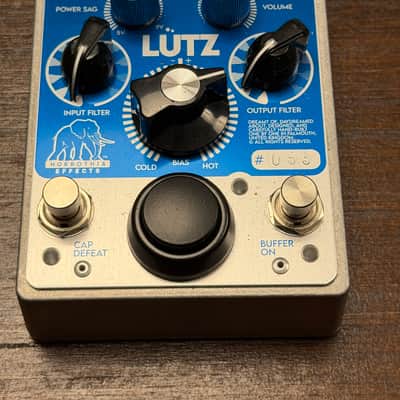 Horrothia Lutz - Fuzz image 2