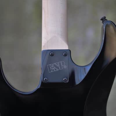 ESP Signature Series Guitars George Lynch Signature - Skulls and Snakes (PRE ORDER) image 8