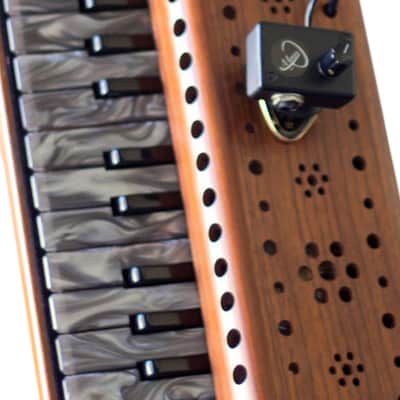 SOPRANO MELODICA PICKUP with 6" FLEXIBLE MICRO-GOOSE NECK by Myers Pickups, Melodica Pickup image 9