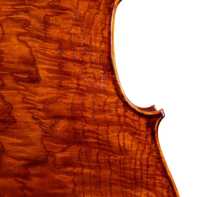 Goffriller Cello 4/4 from One Piece Back - Hand-Made in Romania 2025 #78 image 8