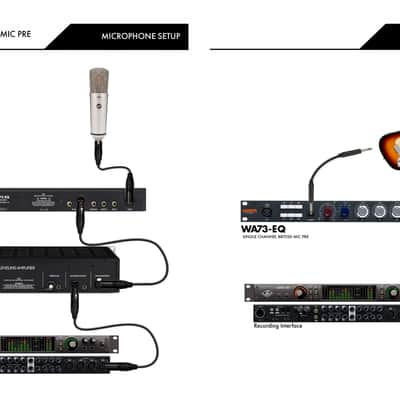 Warm Audio WA73-EQ Microphone Preamp & EQ with Warm Audio WA-251 Large Diaphram Tube Condenser Microphone, On-Stage MS7701B Microphone Stand, 25' Instrument and XLR Cables image 4