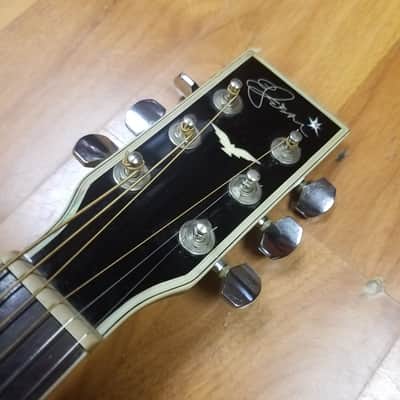 Esteban American Legacy Starlight Limited Edition Acoustic Electric Guitar image 6