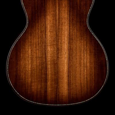 Taylor Next Generation Builder's Edition K24ce #06035 image 2