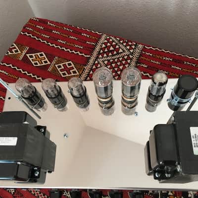 Trinity TripTop (Ampeg B-15 Clone) image 20
