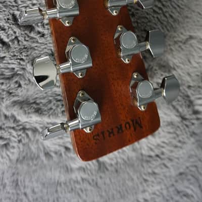 TF Morris W-50 - Natural Japan Acoustic image 20