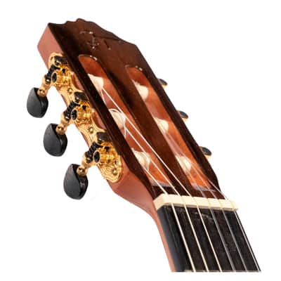 JOSE TORRES JTC-65CE image 4