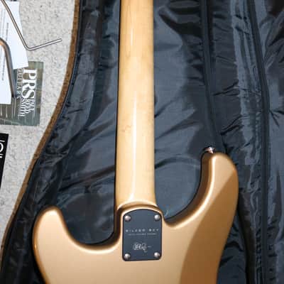 2019 USA PRS Silver Sky - Golden Mesa - No Tariffs image 12
