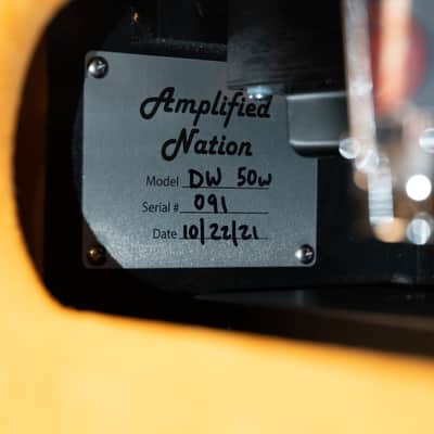 Amplified Nation Dirty Wonderland 2021 - Buckskin Suede 50 Watt image 10