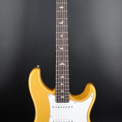 PRS SE Silver Sky 2025 - Gold Spark image 3