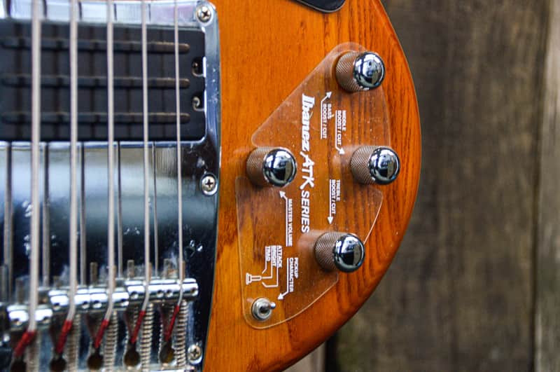 Ibanez ATK305 5-String Bass Natural | Reverb