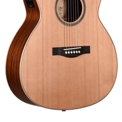 Teton STA105CENT 105 Series Auditorium Western Red Cedar 6-String Acoustic-Electric Guitar - Natural image 1