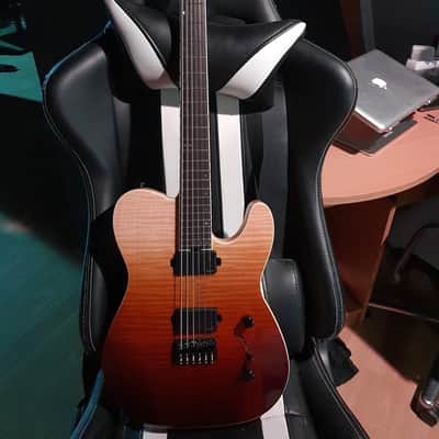 Schecter PT SLS Elite 2019-2020 image 6
