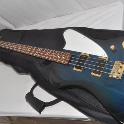 Fernandes Fst 120 The Function | Reverb