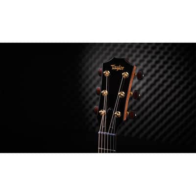 Taylor Custom #30 C16CE Grand Symphony Acoustic Electric Guitar image 6
