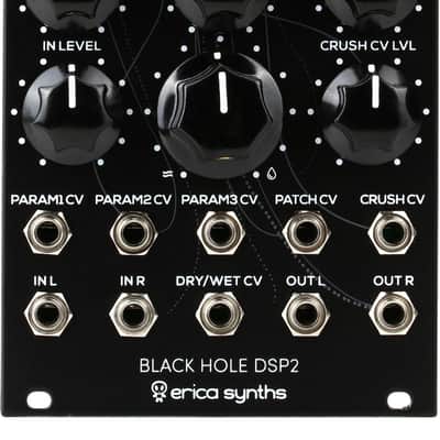 Erica Synths Black Hole DSP2 Multi-Effect Eurorack Module image 1