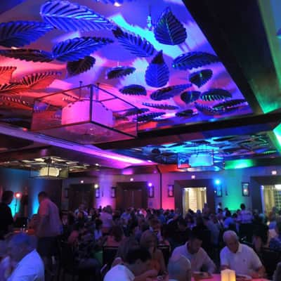 Chauvet DJ COLORstrip LED RGB DMX Strip Stage Lighting Wash Fixture image 5