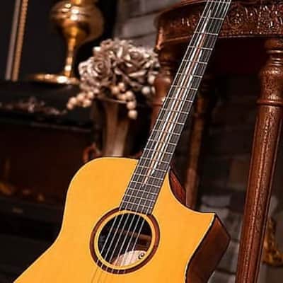 Cort Frank Gambale Signature LUXE II Acoustic-Electric w/Case, Video Demo, Fishman Flex Blend System image 12