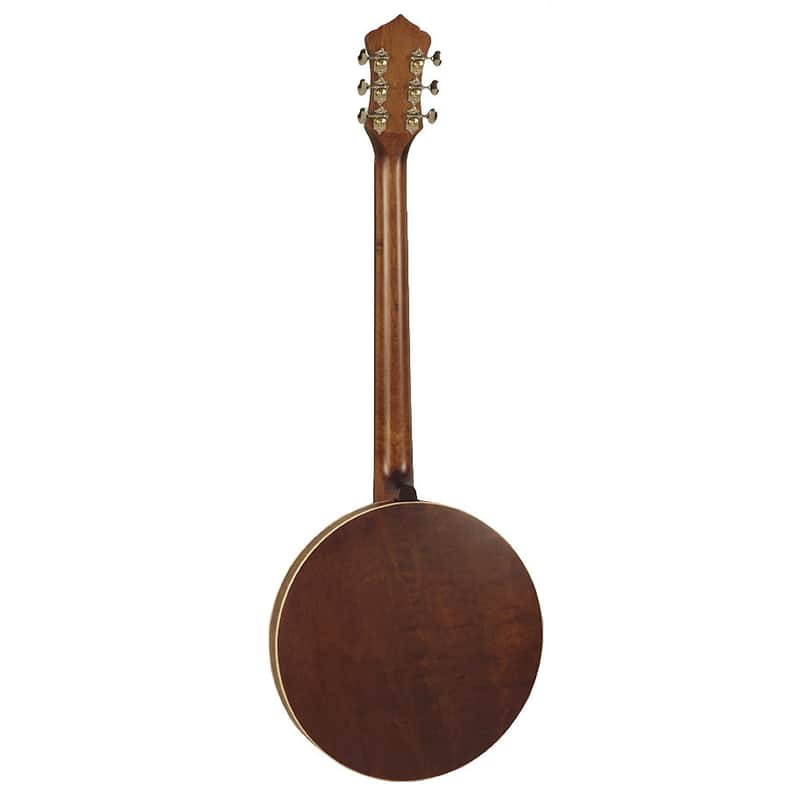 Recording King RK-G25 Madison 6-String Tube & Plate Banjo image 2