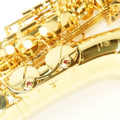 【Products selected by Miho Sumiya】 Yamaha YAS-62 Professional Alto Saxophone image 9