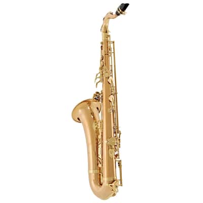 Yanagisawa TWO2 Tenor Saxophone Bronze image 3