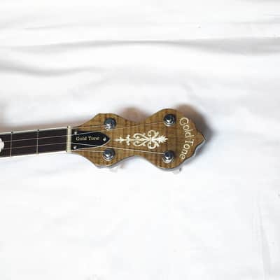 GOLD TONE WL-250 open back BANJO new w/ HARD CASE White Ladye image 6