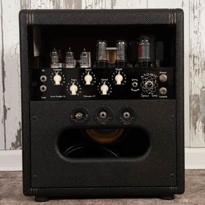 Swart AST Pro 1x12" Combo image 4