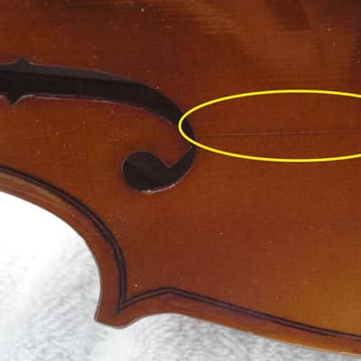 Skylark Model MV008 1/2 Size Violin image 8