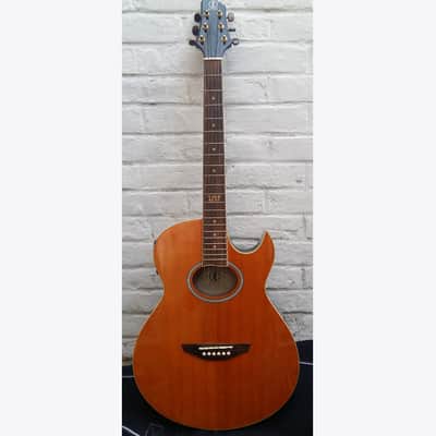 ELYPSE Electro acoustic folk cutaway + original Gigbag 2000 image 1
