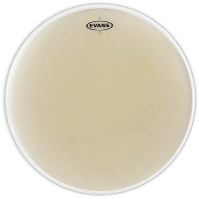 Evans EST2250 Strata Series Timpani Drum Head - 22.5"
