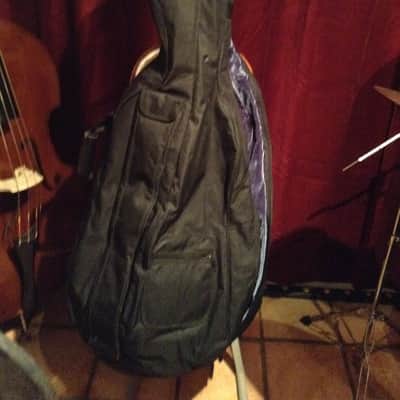 5 Strings Cello Electric 2014 Natural French violin finish image 7