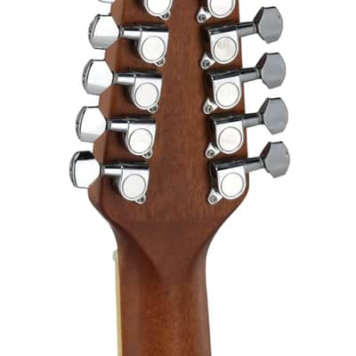 Ovation AB2412-5S Applause Standard Mid-Depth Cutaway 12-String Acoustic-Electric Guitar w/Gig Bag image 10