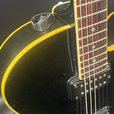 Immagine Fender D'Aquisto Standard 1984 - 1987 - Black - 5