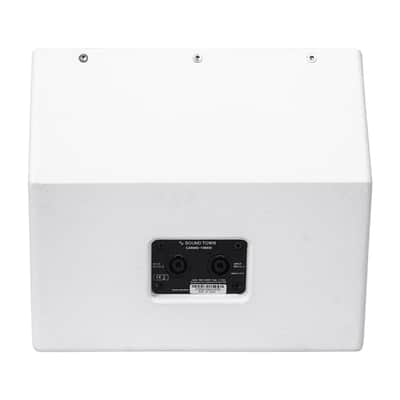 CARME-U10MW | CARME Series 10" Coaxial Passive 2-way Professional PA DJ Stage Monitor Speaker, White with U Mounting Bracket, for Surface-Mount, Installation, Live Sound, Bar, Church image 6