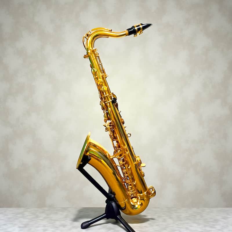 Eb Alto Saxophone with F# Key, Gold Lacquer | Intermediate Student Alto Sax Kit with Case, Stand & Accessories image 1