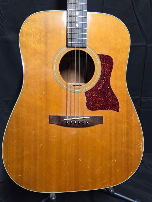 Taylor Lemon Grove 510 1982 - Natural image 1
