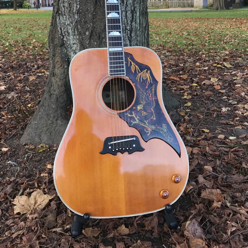 Epiphone FT-120 Excellente 1964 Natural image 1
