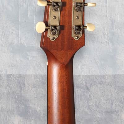 Iris OG Electric - Cremona Burst. NEW (Authorized Dealer) image 6