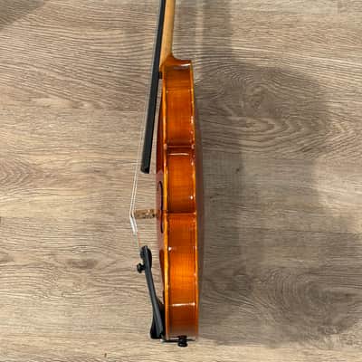 Eastman VL100 3/4 2020 image 7
