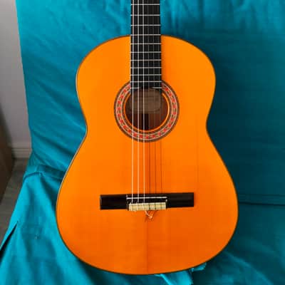 Javier Castano 2019 image 2