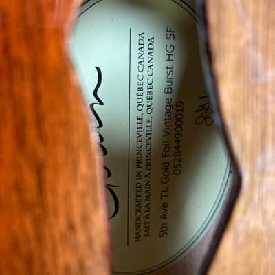 Godin 5th Ave TL Vintage Burst HG Gold Foil SF image 6
