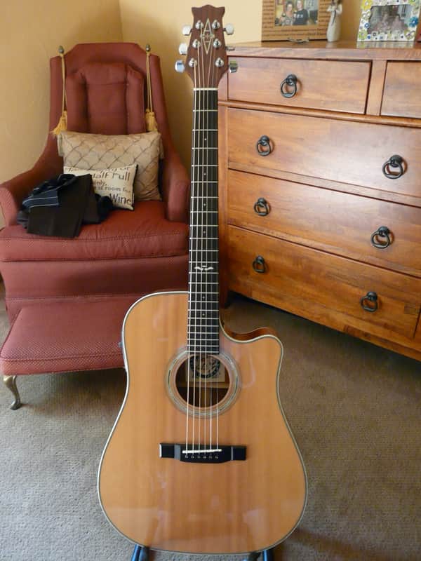 Alvarez 5080 N Artist "Natural Fusion" System 500 Spruce/Mahogany Excellent Condition Plastic OHSC image 1