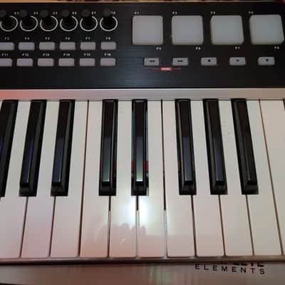 Samson Graphite 49 USB MIDI Keyboard Controller 2010s - Black/White image 7
