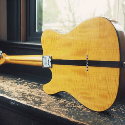 Prinz of Tone! Hohner The Prinz Mad Cat Prince Telecaster with Bookmatched Flamed Maple Top image 9