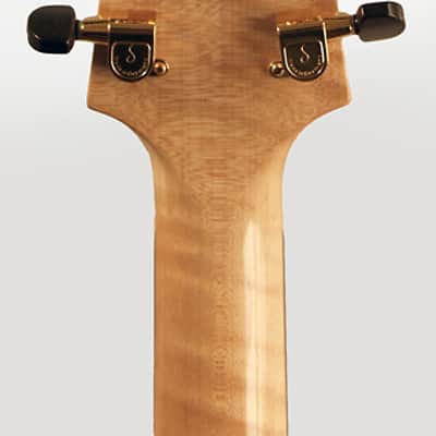 John Monteleone Speciale Arch Top Acoustic Guitar (2010), ser. #252, original brown hard shell case. image 6