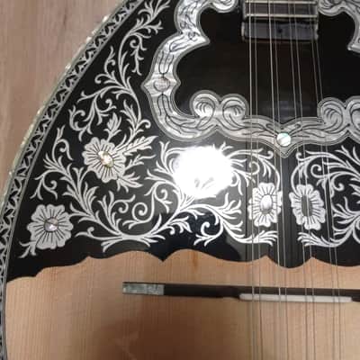 Greek Bouzouki & hardcase & pickup & 300 backing track with pdf scores 8 strings image 3