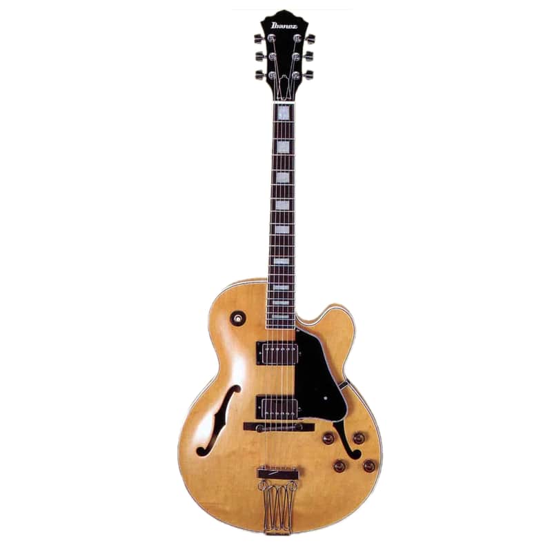 Ibanez FG100 FG image 1