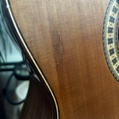 Tim McCoy 2012 Cedar Top Classical Guitar Cedar 2012 image 8