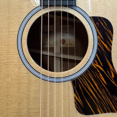 Immagine Taylor 314ce NG 2026 - 4