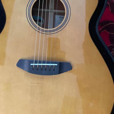 Breedlove Performer Pro CE image 5
